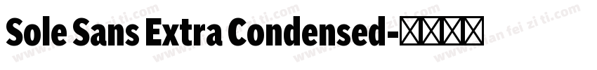 Sole Sans Extra Condensed字体转换